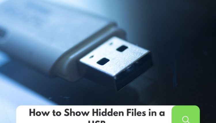 How to Show Hidden Files in a USB
